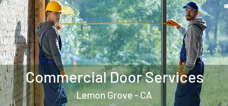 Commercial Door Services Lemon Grove - CA
