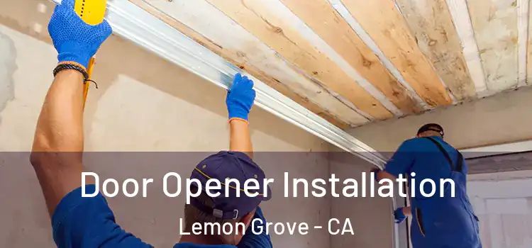 Door Opener Installation Lemon Grove - CA