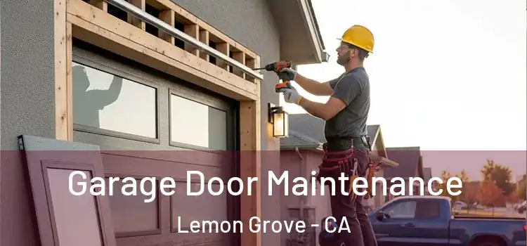 Garage Door Maintenance Lemon Grove - CA