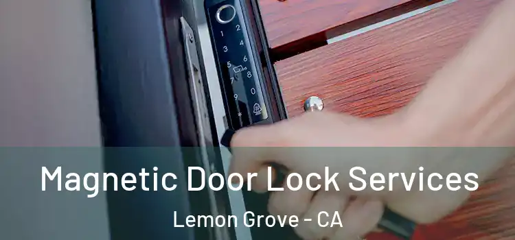 Magnetic Door Lock Services Lemon Grove - CA