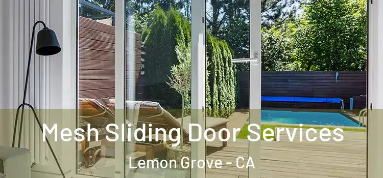 Mesh Sliding Door Services Lemon Grove - CA